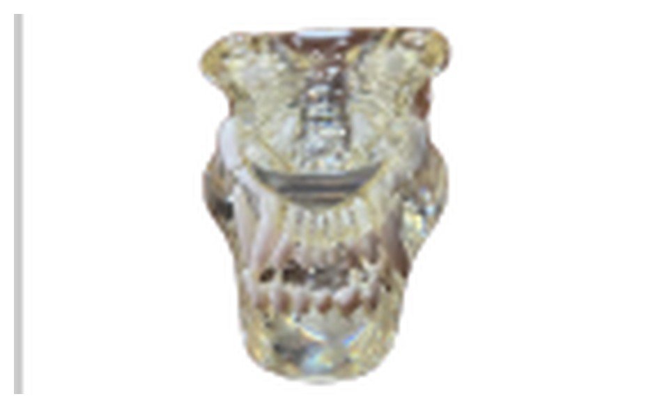 Modelo de Dentes Transparentes