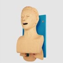 Simulador para Treino de Intubação Traqueal, com Dispositivo de Controle